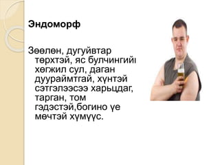 Эндоморф
Зөөлөн, дугуйвтар
төрхтэй, яс булчингийн
хөгжил сул, даган
дуураймтгай, хүнтэй
сэтгэлээсээ харьцдаг,
тарган, том
гэдэстэй,богино үе
мөчтэй хүмүүс.
 