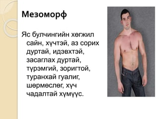 Мезоморф
Яс булчингийн хөгжил
сайн, хүчтэй, аз сорих
дуртай, идэвхтэй,
засаглах дуртай,
түрэмгий, зоригтой,
туранхай гуалиг,
шөрмөслөг, хүч
чадалтай хүмүүс.
 