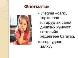 Флегматик
 /flegma –салс,
тархинаас
ялгаруулах салс/
дийлэнх хүмүүст
сэтгэлийн
хөдөлгөөн багатай,
гөлгөр, удаан,
залхуу
 