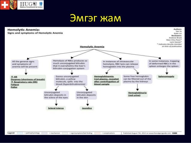цус задрах хам шинж
