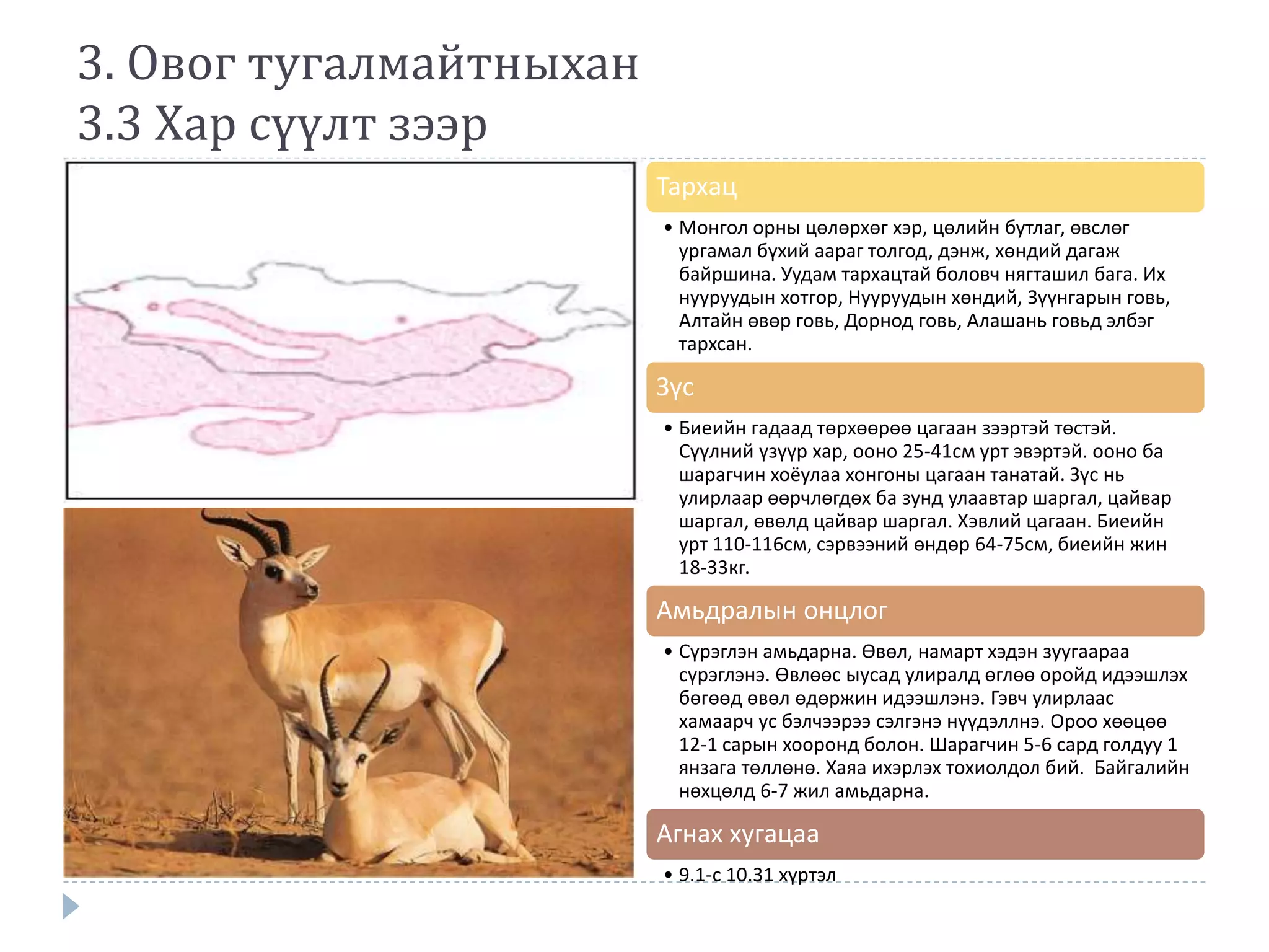 Монгол орны туруутан | PPT