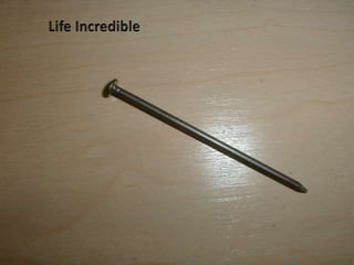 30. Common Nail
 