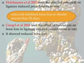  Holzhausen et al 2002 seen the effect of celecoxib on
ligature induced periodontitis in rats
 Gurgel et al 2004 seen the effect of meloxicam on
bone loss in ligature induced periodontitis in rats
 It showed reduced bone loss
celecoxib inhibited bone loss in shorter
peroid than 30 days
 