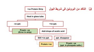 +ve Protein Strip
Heat in glass tube
-ve ppt.
Proein –ve
(Error in strip)
+ve ppt.
Add drops of acetic acid
Still +ve ppt.
Protein +ve
ppt. disappear
Proein –ve
(ppt. is phospate salts.)

‫البول‬ ‫شريط‬ ‫فى‬ ‫البروتين‬ ‫من‬ ‫التأكد‬
 