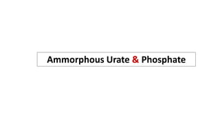Ammorphous Urate & Phosphate
 