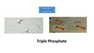 Triple Phosphate
 