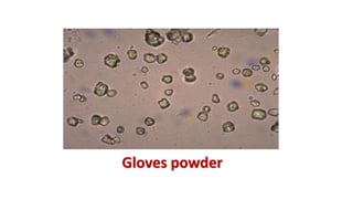 Gloves powder
 