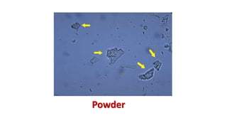 Powder
 