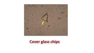 Cover glass chips
 