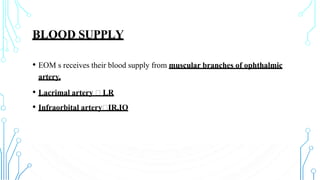 BLOOD SUPPLY
• EOM s receives their blood supply from muscular branches of ophthalmic
artery.
• Lacrimal artery LR
• Infraorbital artery IR,IO
 