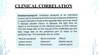 CLINICAL CORRELATION
 