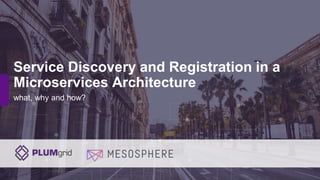 Copyright © PLUMgrid, Inc. 2011-2016
what, why and how?
Service Discovery and Registration in a
Microservices Architecture
 