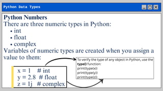 Comprehensive Guide to Python Variables and Data Types for Beginners | PDF