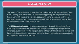 Copy-of-LESSON-2-HUMAN-ANATOMY_11 organs.pptx