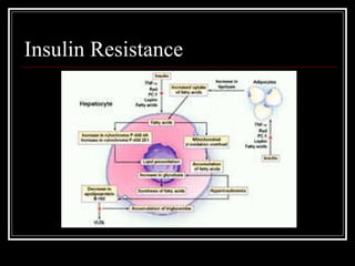 Insulin Resistance 