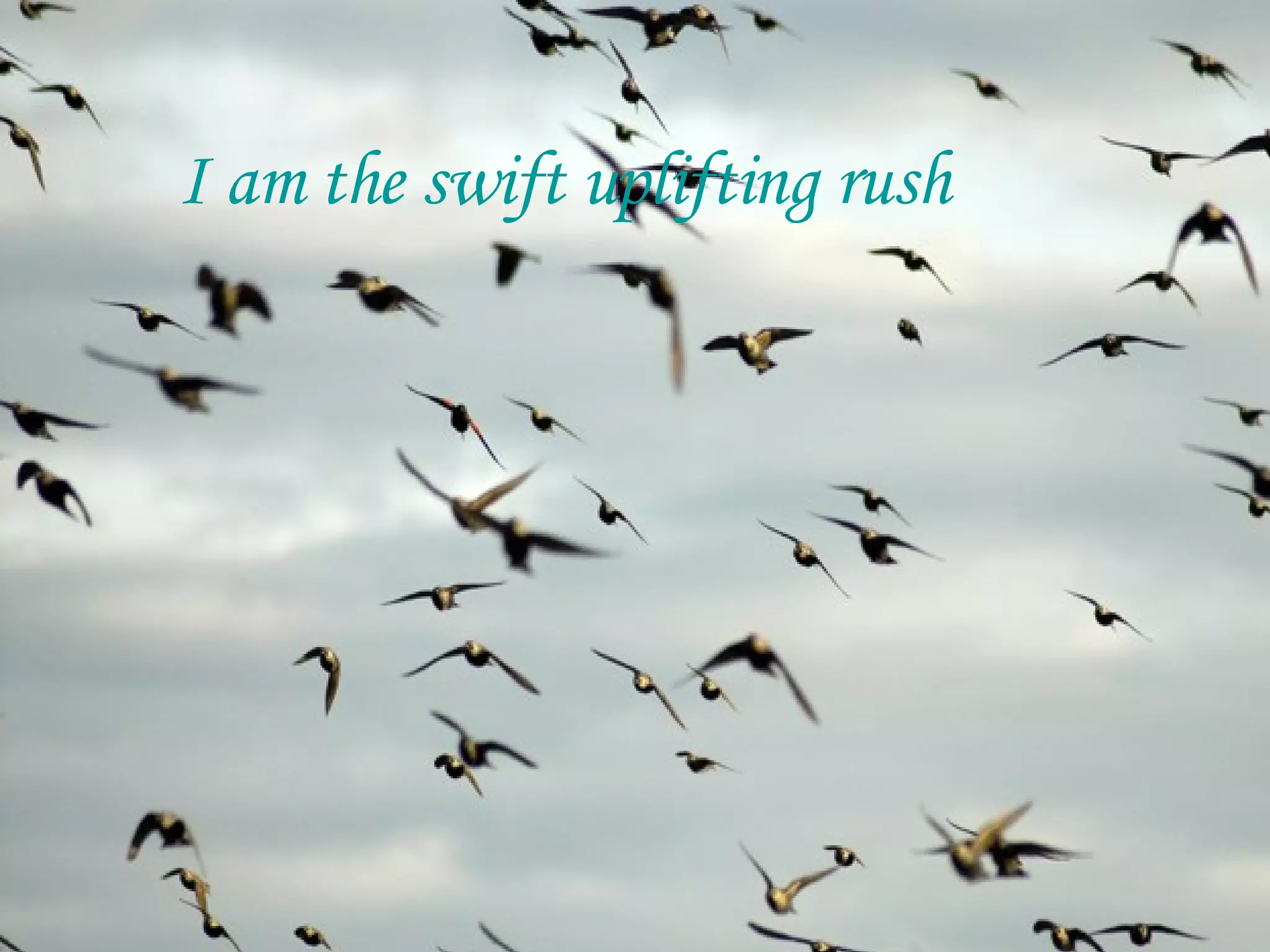 I am the swift uplifting rush