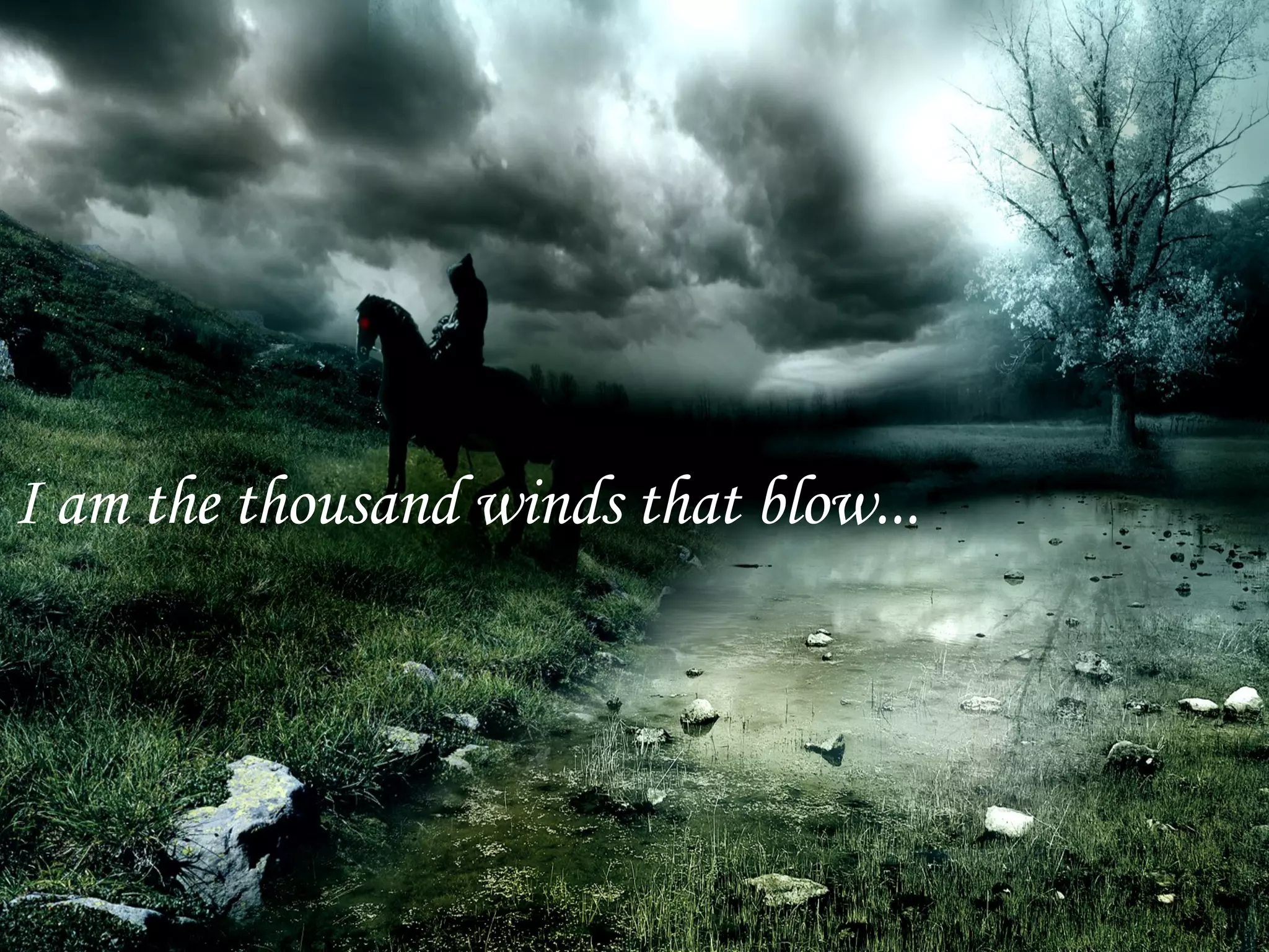 I am the thousand winds that blow...
