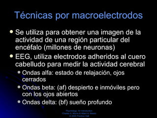 Técnicas por macroelectrodos <ul><li>Se utiliza para obtener una imagen de la actividad de una región particular del encéf...