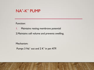 Pump N Function Copy1-Cell_Physiology_2_Illustrated_Presentation.pptx