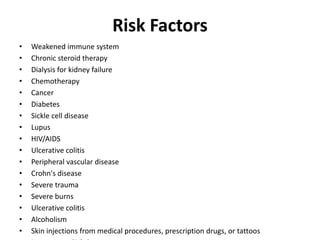 Risk Factors
• Weakened immune system
• Chronic steroid therapy
• Dialysis for kidney failure
• Chemotherapy
• Cancer
• Diabetes
• Sickle cell disease
• Lupus
• HIV/AIDS
• Ulcerative colitis
• Peripheral vascular disease
• Crohn's disease
• Severe trauma
• Severe burns
• Ulcerative colitis
• Alcoholism
• Skin injections from medical procedures, prescription drugs, or tattoos
 