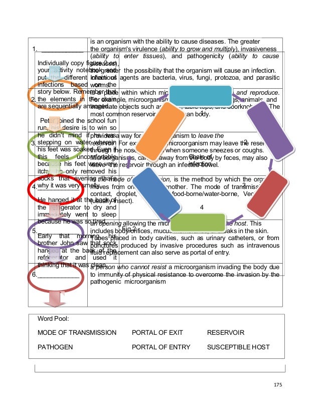 What causes diseases homework worksheet quizzes grade 8