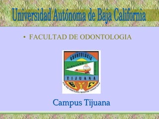 [object Object],Universidad Autónoma de Baja California Campus Tijuana 