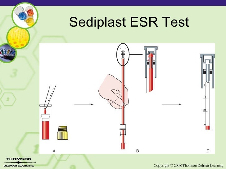 Copy (2) Of Lesson 2 12 Laboratory Esr
