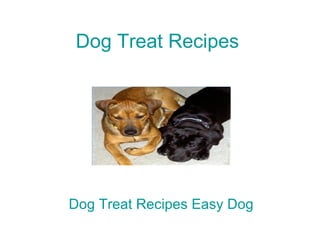 Dog Treat Recipes Dog Treat Recipes Easy Dog dog treat recipes dog treat recipes dog treat recipes dog treat recipes 