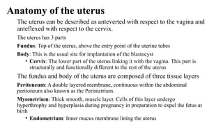 Slideshow PRESENTATION ON ECLAMPSIA.pptx