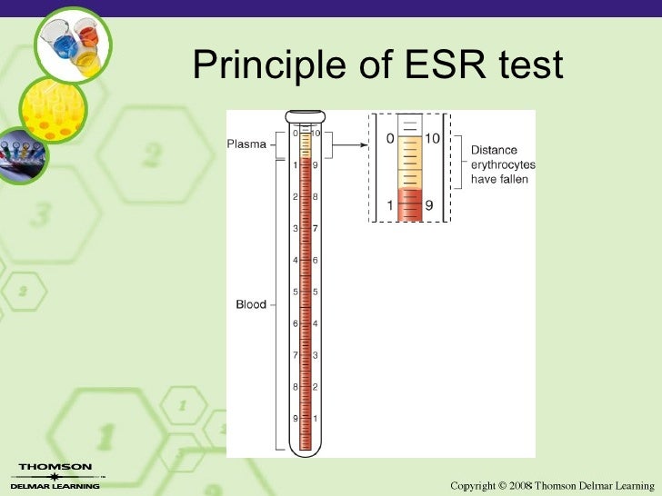 Copy (4) Of Lesson 2 12 Laboratory Esr