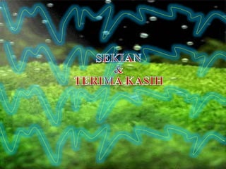 Keripik Renyah Enak bro 