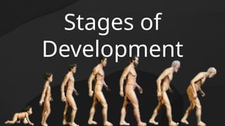 Stages of
Development
 