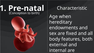 1. Pre-natal Characteristic
(Conception to birth)
Age when
hereditary
endowments and
sex are fixed and all
body features, both
external and
internal are
 
