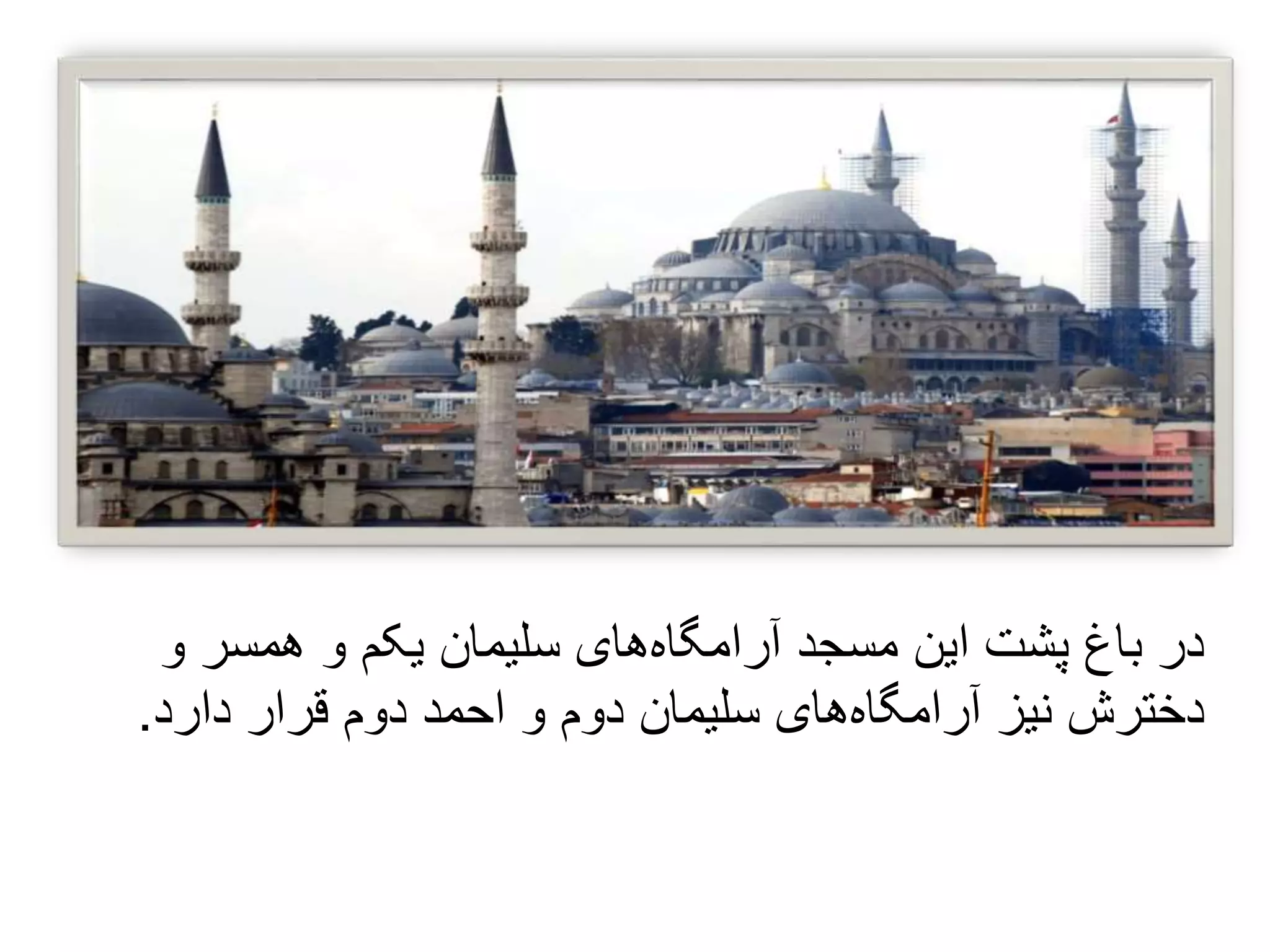 ‫یکم‬ ‫سلیمان‬ ‫های‬‫آرامگاه‬ ‫مسجد‬ ‫این‬ ‫پشت‬ ‫باغ‬ ‫در‬‫و‬ ‫همسر‬ ‫و‬
‫دارد‬ ‫قرار‬ ‫دوم‬ ‫احمد‬ ‫و‬ ‫دوم‬ ‫سلیمان‬ ‫های‬‫آرامگاه‬ ‫نیز‬ ‫دخترش‬.
 