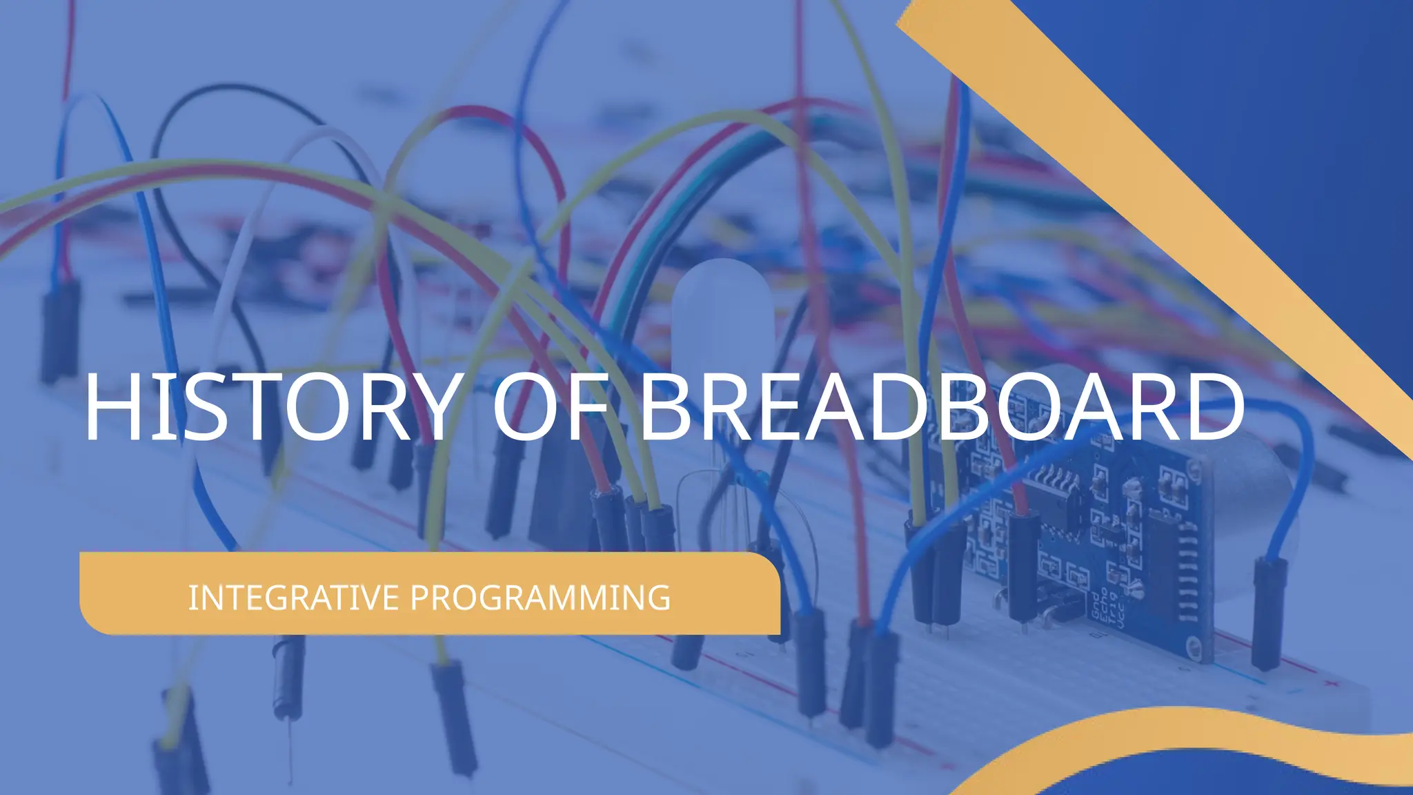 INTEGRATIVE PROGRAMMING
HISTORY OF BREADBOARD
 