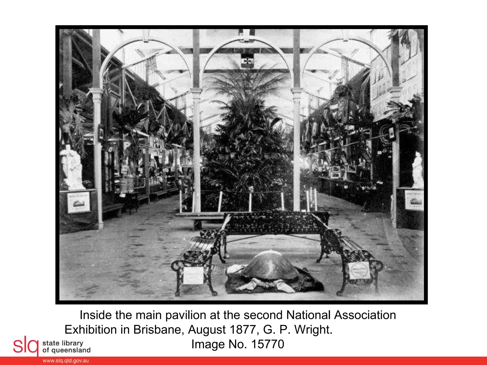 Acclimatisation Society of Queensland | PPT