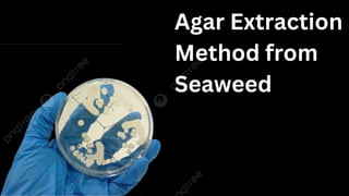 Agar Extraction
Method from
Seaweed
 
