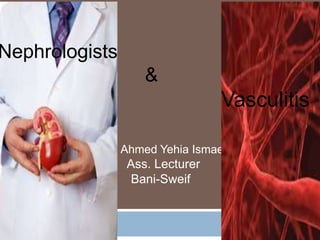 Ahmed Yehia Ismaeel
Ass. Lecturer
Bani-Sweif
Nephrologists
&
Vasculitis
 
