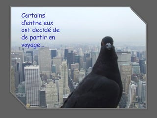 Certains
d’entre eux
ont decidé de
de partir en
voyage…
 