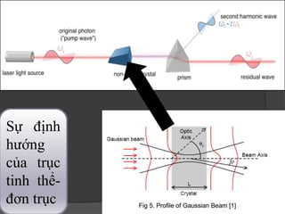 Sự định
hướng
của trục
tinh thể-
đơn trục 16
 