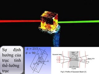 Sự định
hướng của
trục tinh
thể-lưỡng
trục 17
 