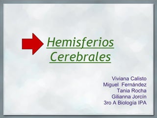 Hemisferios
Cerebrales 
            Viviana Calisto
         Miguel Fernández
              Tania Rocha
            Gilianna Jorcín
         3ro A Biología IPA
 