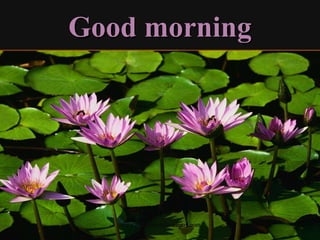 Good morning

www.indiandentalacademy.com

 