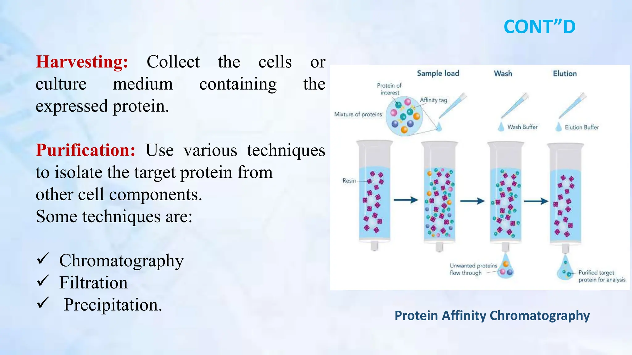 Protein Isolation Lab Recombinant Protein Technology in laboratory .pptx