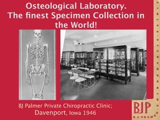 Osteological Laboratory.
The ﬁnest Specimen Collection in
           the World!




  BJ Palmer Private Chiropractic Clini...