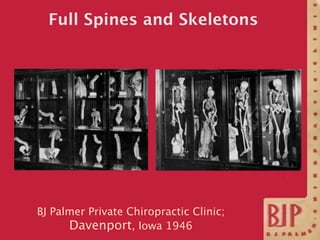 Full Spines and Skeletons




BJ Palmer Private Chiropractic Clinic;
      Davenport, Iowa 1946
 