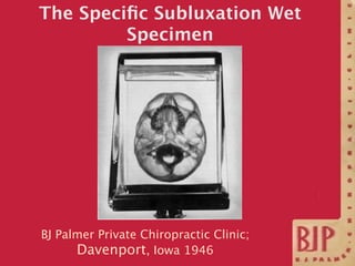 The Speciﬁc Subluxation Wet
         Specimen




BJ Palmer Private Chiropractic Clinic;
      Davenport, Iowa 1946
 