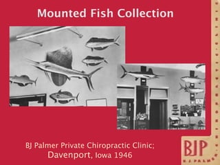 Mounted Fish Collection




BJ Palmer Private Chiropractic Clinic;
      Davenport, Iowa 1946
 