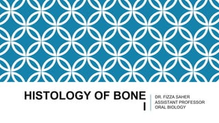 HISTOLOGY OF BONE
I
DR. FIZZA SAHER
ASSISTANT PROFESSOR
ORAL BIOLOGY
 