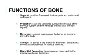 Bone | PPTX | Bone and Joint Conditions | Diseases and Conditions